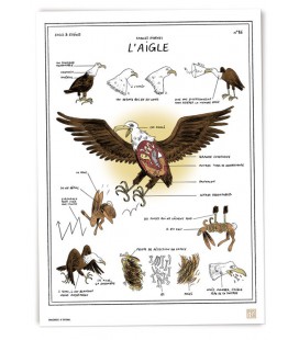Grande affiche "L'aigle"