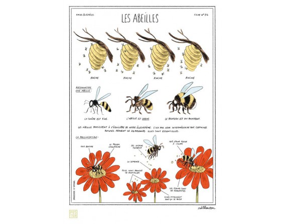 Grande affiche "Les abeilles"