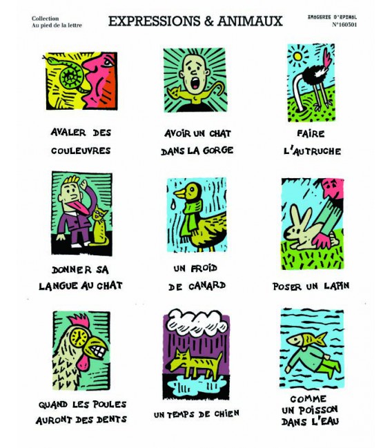 Image "Expressions et Animaux" par Philippe Lagautriere