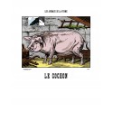 Image "Le cochon"