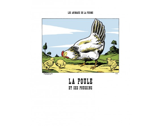 Image La Poule et ses poussins - Animaux de la Ferme