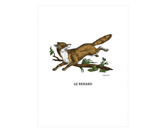 Image "Le renard"