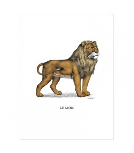 Image "Le lion"