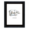 Image "L'ours blanc"