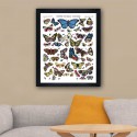 Affiche "Papillons"