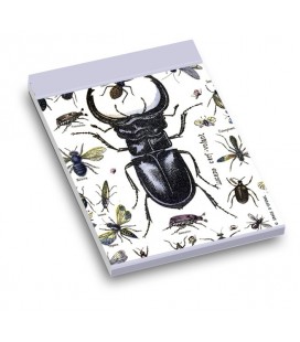 "Insectes" Bloc-notes