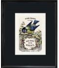Image "Edition originale 1879" - Nos bons petits oiseaux
