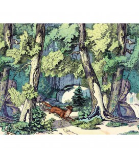 Fond de forêt avec renard - décor panoramique