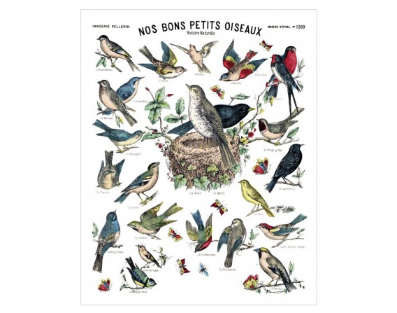 Affiche "Nos bons petits oiseaux"