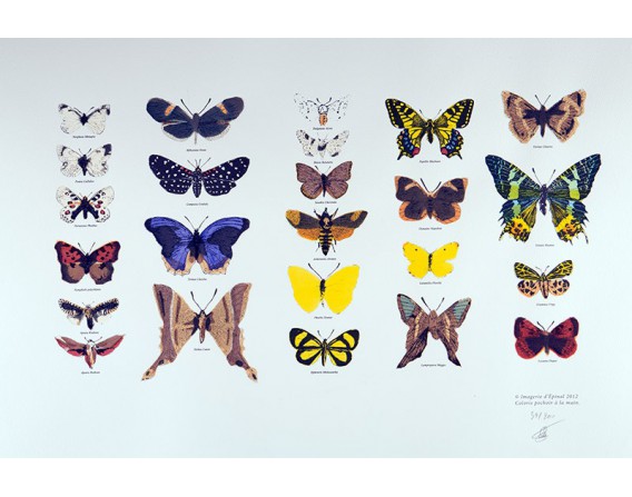Les Papillons