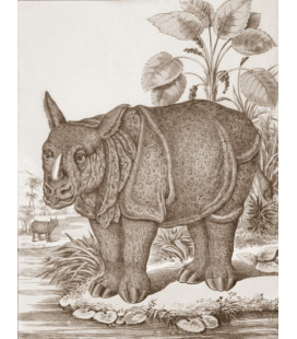 décor panoramique rhino sepia