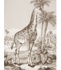décor panoramique girafe sepia