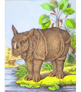 décor panoramique rhino couleur