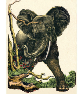 Tirage d'art "La  charge de l'Eléphant"