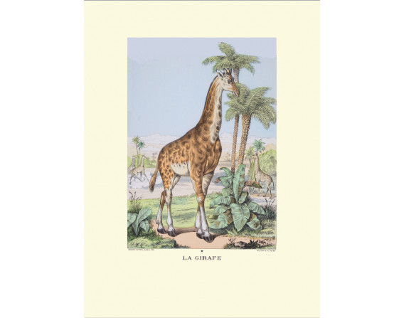 Image "La Girafe"