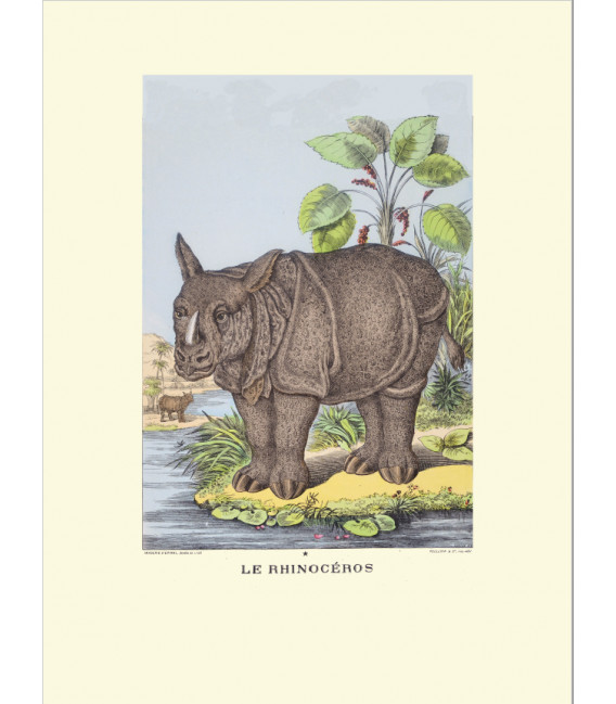 Image "Le Rhinocéros"