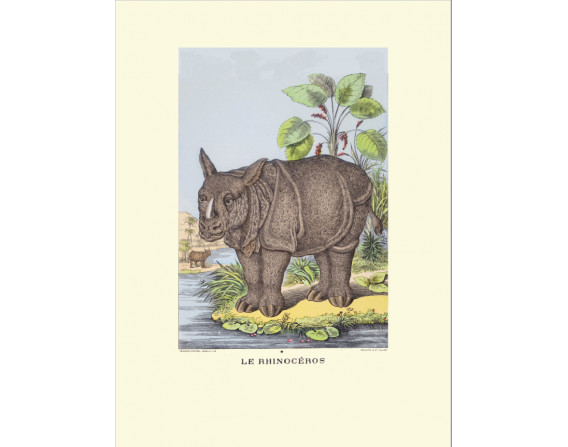 Image "Le Rhinocéros"