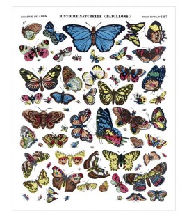 Affiche "Papillons"