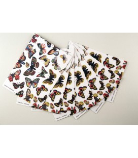 Lot de 10 cartes doubles - Envol de papillons