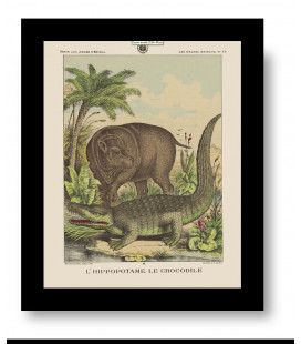Image "croco hippo"