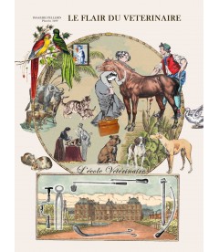 Photo De Presse Vintage - Animaux Et Vétérinaires - Tirage Argentique 18x24 Cm